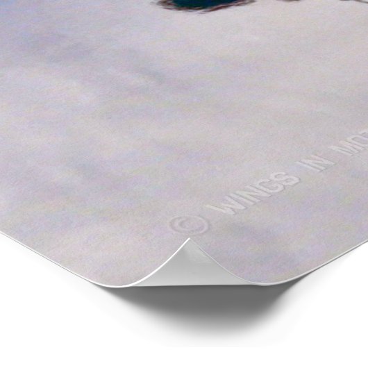 UH-60M SCHWARZHAWK POSTER (Ecke)