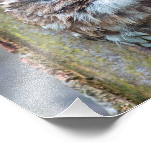 Uhfoto Fotodruck (Ecke)