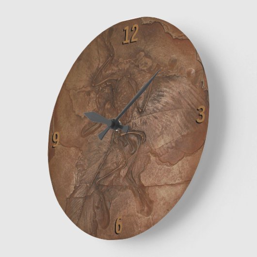 Uhr - Archaeopteryxfossil (Winkel)