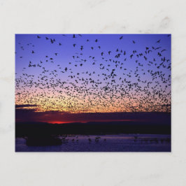 Uhr bei Sonnenaufgang Postkarte