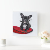 Uhr der französischen Bulldogge (Zuhause)