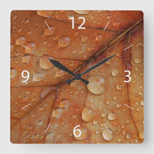 Uhr der Herbstmauer (Vorderseite)