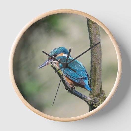 Uhr der Naturwand (Vorderseite)