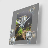 Uhr der tropischen Streifenfische (Winkel)