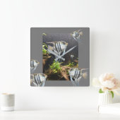 Uhr der tropischen Streifenfische (Zuhause)