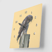 Uhr - Falke auf der Post (Winkel)