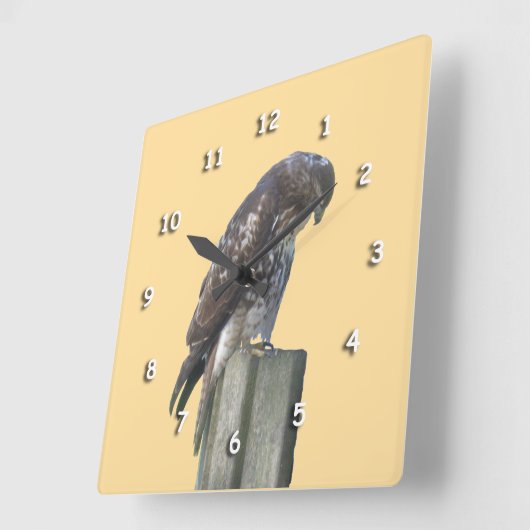 Uhr - Falke auf der Post (Winkel)