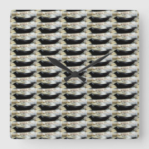 Uhr für Siegel in schwarzem Hafen