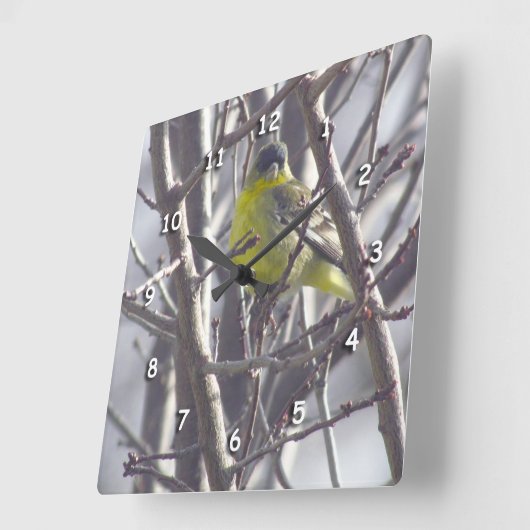 Uhr - Gelbe Finish in Zweigen (Winkel)