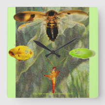 "Uhr-Hinterwelle-" Hinterwelleenthusiasten sind Li