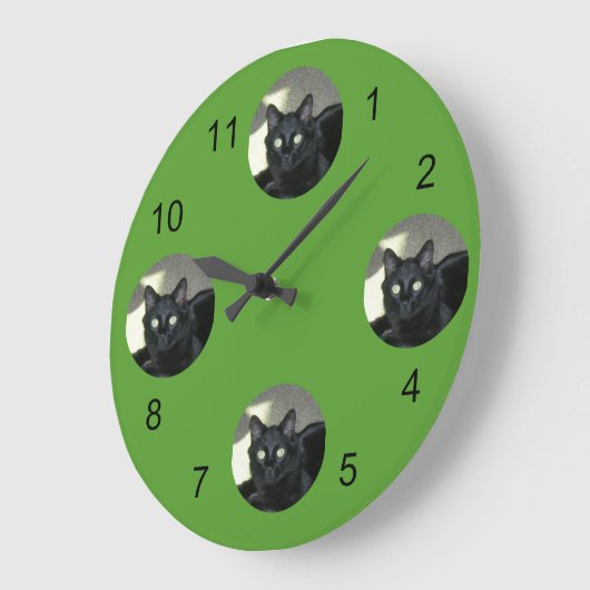 Uhr - Ihr Haustier im Scheinwerferlicht (Winkel)