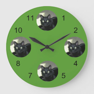 Uhr - Ihr Haustier im Scheinwerferlicht