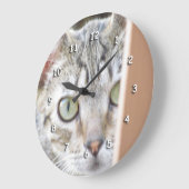 Uhr - Kitten Watching (Winkel)