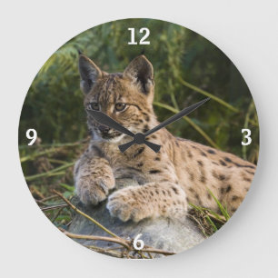Uhr - Luchs