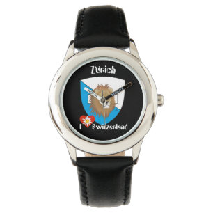 Uhr mit Schweizer-Entwurf Zürich die Schweiz