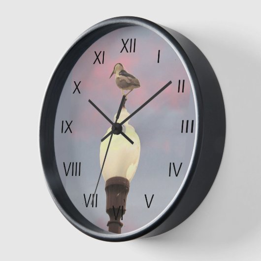 Uhr - Nachtreiher auf Street Lamp (Winkel)