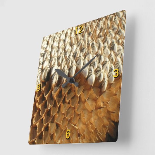 Uhr - Sonnenblumenkerne (Winkel)