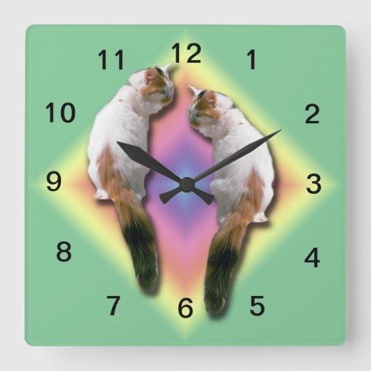 Uhr - Spiegelkatzenjacke (Vorderseite)