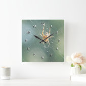 Uhr - Spinne auf Netz (Zuhause)