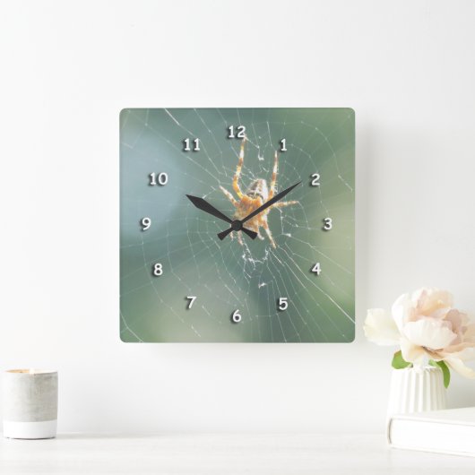 Uhr - Spinne auf Netz (Zuhause)