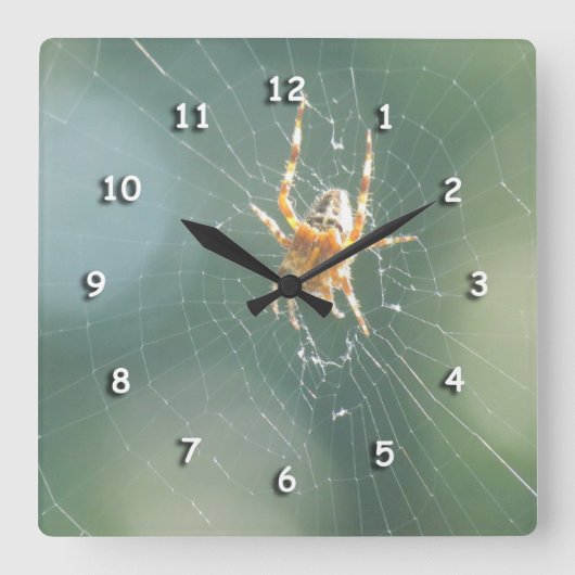 Uhr - Spinne auf Netz (Vorderseite)