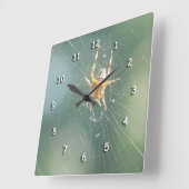 Uhr - Spinne auf Netz (Winkel)