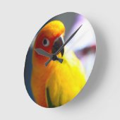 Uhr Sun Conure (Winkel)