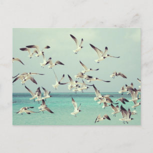Uhr von Möwen, die über dem Ozean fliegen. Feiertagspostkarte