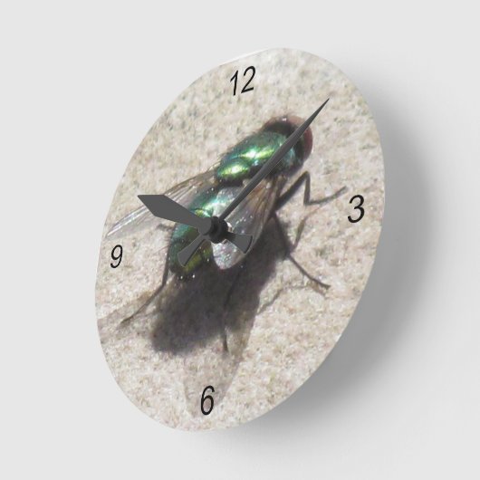 Uhr - Zeitfliegen (Winkel)