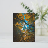 Uhren Turm durch Herbstlaub Postkarte (Stehend Vorderseite)