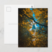 Uhren Turm durch Herbstlaub Postkarte (Vorne/Hinten)
