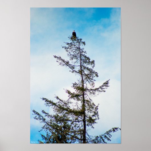 Uhrturm Poster (Vorne)