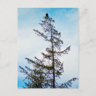 Uhrturm Postkarte
