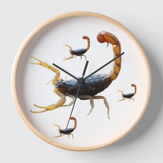 Uhrweise Uhr (Vorderseite)