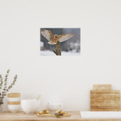 Uhu der Scheune landet, um zu spinnen Poster (Küche)