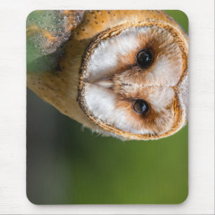 Uhu, Eule, Vogel Mousepad