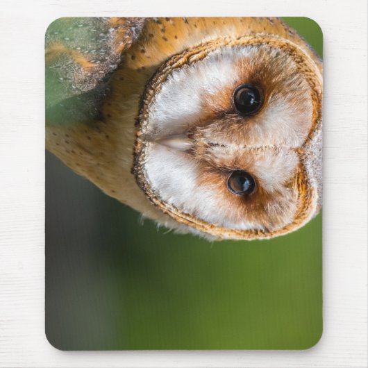 Uhu, Eule, Vogel Mousepad (Vorne)