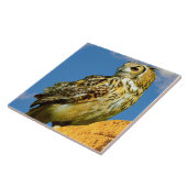 Uhu Fliese (Seite)