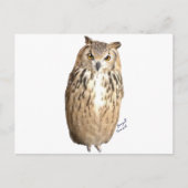 Uhu Postkarte (Vorderseite)