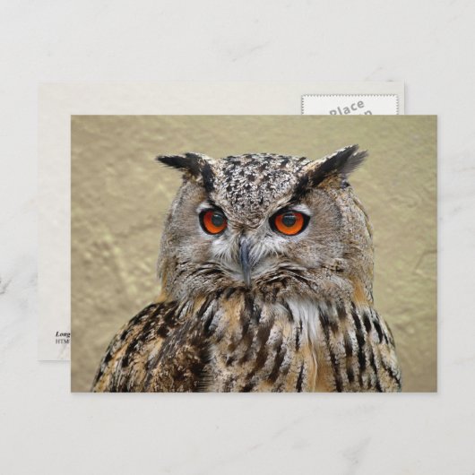 Uhu Postkarte (Vorne/Hinten)