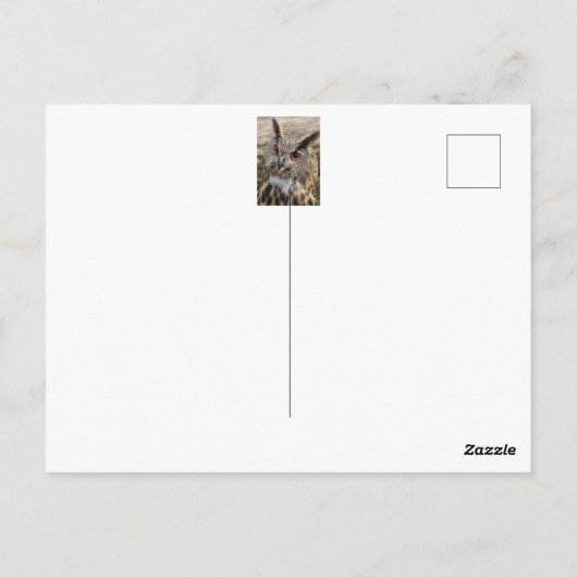 Uhu Postkarte (Rückseite)