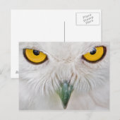 Uhu Postkarte (Vorne/Hinten)