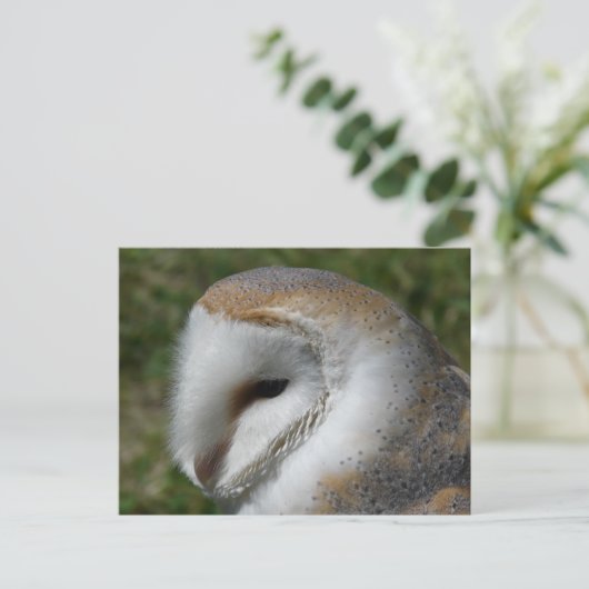 Uhu Postkarte (Stehend Vorderseite)