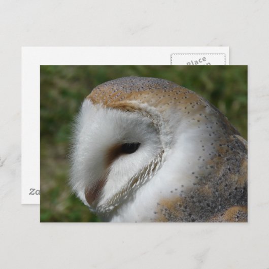 Uhu Postkarte (Vorne/Hinten)