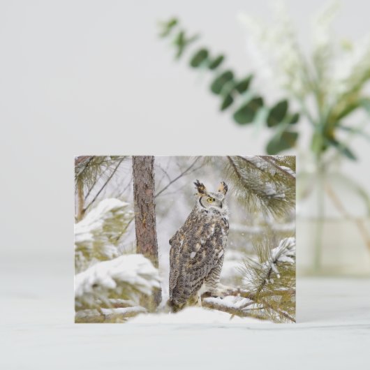 Uhu Postkarte (Stehend Vorderseite)