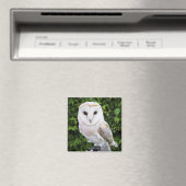 Uhu (Tyto Alba) auf Handschuh Magnet (In Situ (Geschirrspüler))