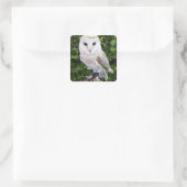 Uhu (Tyto Alba) auf Handschuh Quadratischer Aufkleber (Tasche)