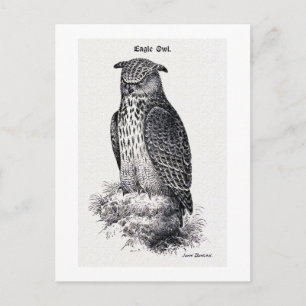 "Uhu" Vintage-Illustration Postkarte