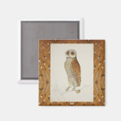 Uhu Vintage Naturdarstellung versperrt Magnet (Vorderseite/Rückseite)