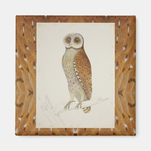 Uhu Vintage Naturdarstellung versperrt Magnet (Vorne)